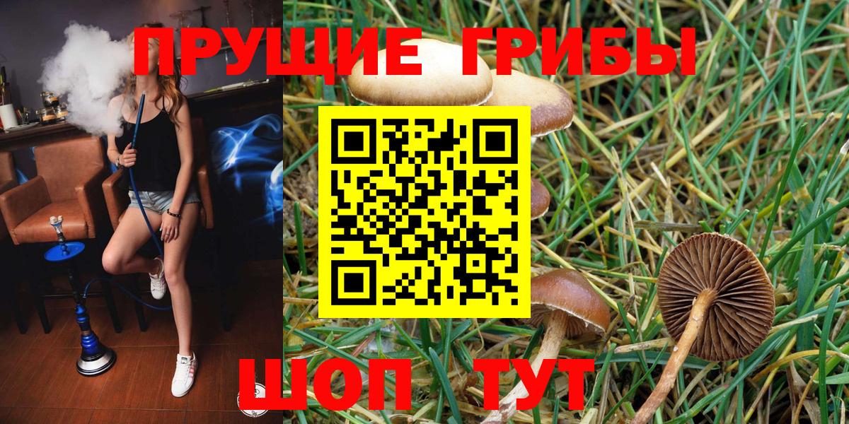 наркошоп  Псилоцибиновые грибы Cubensis  Вход с VPN  Старая Купавна 