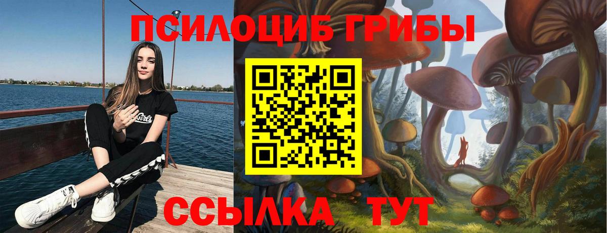 Галлюциногенные грибы GOLDEN TEACHER Старая Купавна